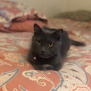 Meet your Posher, Wendy